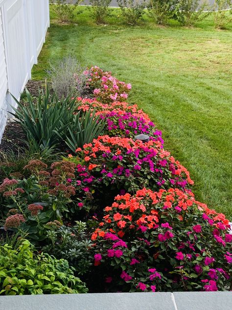 Oklahoma Landscape, Flower Landscaping, Front Flower Beds, Annual Garden, Big Yard, Landscape Ideas, Garden Styles, Landscaping Ideas, Flower Beds