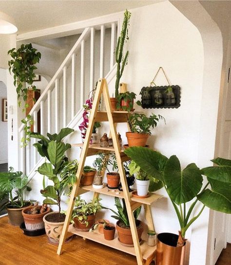 Repurposed Ladders, Ladder Planter, Patio Flower Pots, Ladder Plant Stand, Ladder Ideas, Plant Ladder, Wooden Plant Pots, Plant Display Ideas, Indoor Home Decor