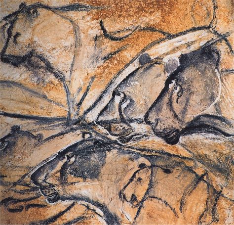 These cave paintings of lions in France, found in 1994 are 32,000 years old, and are believed to be the oldest paintings ever discovered Altamira Cave, Lascaux Cave Paintings, Chauvet Cave, Prehistoric Cave Paintings, Paleolithic Art, Cave Drawings, Prehistoric Art, Cave Paintings, Art Antique