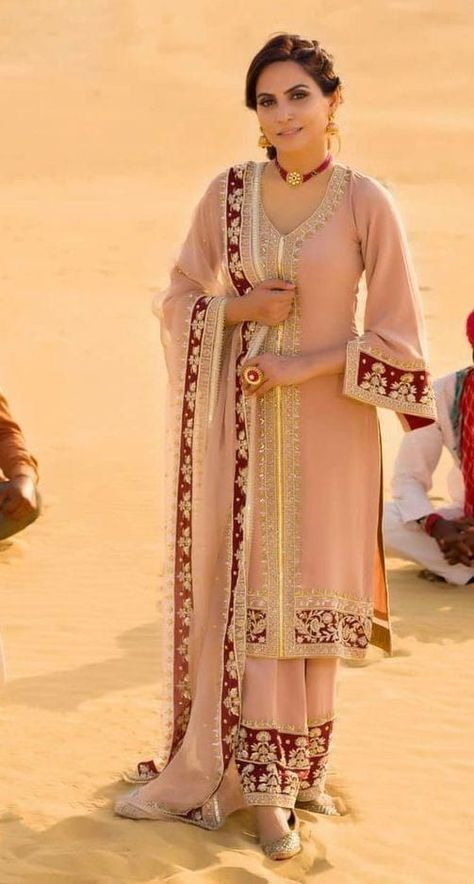 Marriage Suit, Dupatta Ideas, Stain Stitch, Designer Suits For Wedding, Punjabi Dress Design, Suits Punjabi, Kameez Designs, Embroidery Suit, Velvet Dress Designs