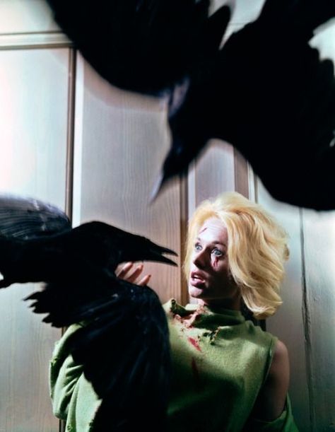 The Birds Movie, Alfred Hitchcock The Birds, Philippe Halsman, Tippi Hedren, Alfred Hitchcock Movies, Hitchcock Film, Ingrid Bergman, Katharine Hepburn, Bette Davis