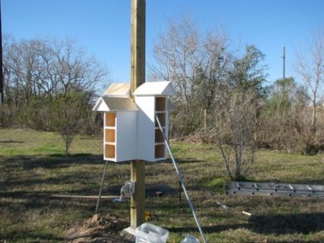 One of our T-14 houses being attached around the post. Bird Houses Plans, Martin House Plans, Diy Bird Houses, Purple Martin House Plans, Purple Martin Birdhouse, Purple Martin House, Bird Feeder Plans, Purple Martin, Homemade Bird Houses