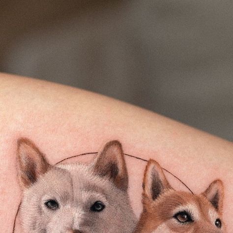 Dim(Junhyoung Kim) on Instagram: "2 dog portrait in circle tattoo on forearm done at @nonfromseoul LA by@dimkymn" Akita Tattoo, Akita Inu Drawing, American Akita Tattoo, American Akita Drawing, Akita Dog Japanese, Tattoo On Forearm, Circle Tattoo, June 1, Forearm Tattoos