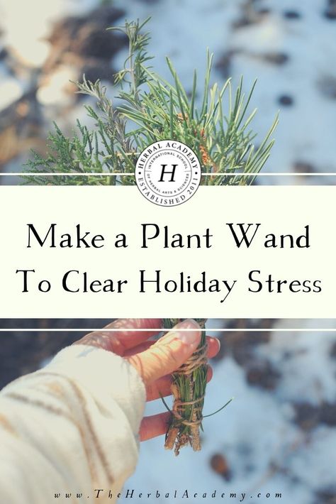 This holiday season, step out into nature and find these herbs to make your own plant wand and keep holiday stress at bay. Natural Healing Remedies, Herbal Magic, Mood Enhancers, Meditation Crystals, Yule Decorations, Winter Solstice, Medicinal Herbs, Holiday Inspiration, Herbal Remedies