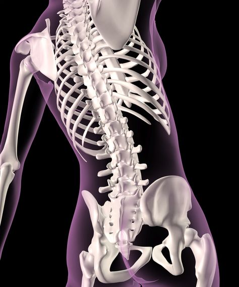 Natural bone loss begins in the early 30s for women and men. Use these simple methods to keep your bones healthy your whole life long. Bone Loss, Raspberry Ketones, Tall People, Chiropractic Care, Healthy Bones, Hip Flexor, Bone Health, Health And Fitness Tips, Chiropractic