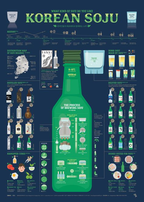 Bebida Gin, Korean Soju, Korean Words Learning, Food Infographic, Graphic Design Infographic, Infographic Poster, Design Infographic, Korean Language Learning, South Korea Travel