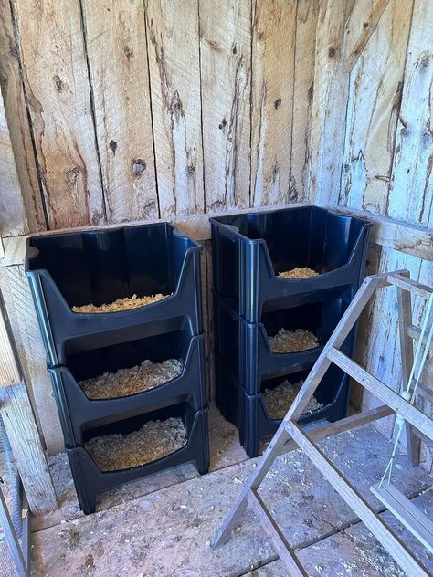 Everything Backyard Chicken! | My nesting boxes for my chickens 🙂 Farm Animals Project, House In The Farm, Ideas For Chicken Coop, Nesting Boxes Diy, Chicken 101, Homestead Plans, Chicken Coop Designs Diy, Duck Houses, Chicken Board