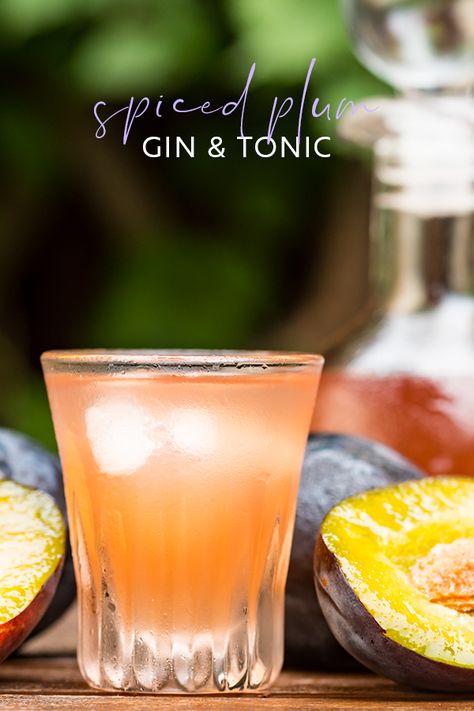 Follow this easy, 5-minute recipe for a simple syrup infused with muddled plums and cinnamon, add gin and tonic and voila! You have the perfect autumn cocktail. Plum Gin Cocktail, Plum Gin, Cinnamon Cocktail, Gin Tonic Recipe, Campari Cocktails, 5 Minute Meals, Recipe For Teens, Tonic Recipe, Vanilla Milkshake