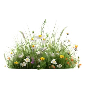 flower landscape,natural ecology,grass,plant,flowers,floral,flowering,illustration,green grass,decoration,spring,green,flowers,summer,pattern,grass,flowering flower,flowers and grass,leaf,cartoon,decorative pattern,natural,flower,petal,terrestrial plant,flowering plant,tableware,annual plant,flower arranging,landscape Leaf Cartoon, Grass Png, Grass Decoration, Flower Blooming, Grass Flower, Psd Background, Vector Trees, Black And White Tree, Flowers Summer