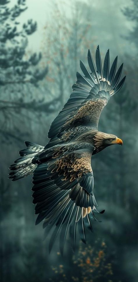 Photos Of Eagles, Flying Eagle Wallpaper, Eagle Flying Tattoo, Birds Flying Wallpaper, Eagle Wallpaper Iphone, Animal Wallpaper Iphone, Eagle Aesthetic, Eagle Photo, Aigle Royal