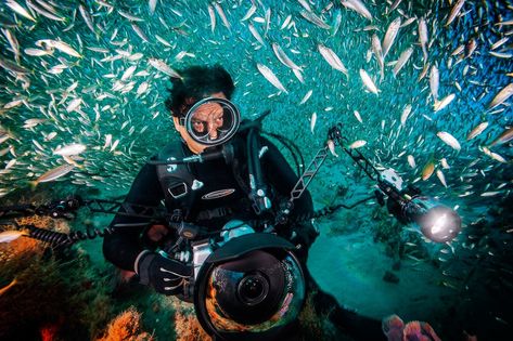 Tiger Sharks, Future Relationship, Pollock Paintings, Llama Face, 3d Chalk Art, National Geographic Photographers, Coral Bleaching, Underwater Photographer, Incredible Creatures