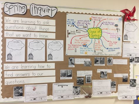 Inquiry Bulletin Board Ideas, Spring Inquiry Kindergarten, Floorbooks Early Years, Reggio Documentation Display, Reggio Bulletin Boards, Learning Journey Display, Preschool Documentation, Reggio Documentation, Ib Classroom