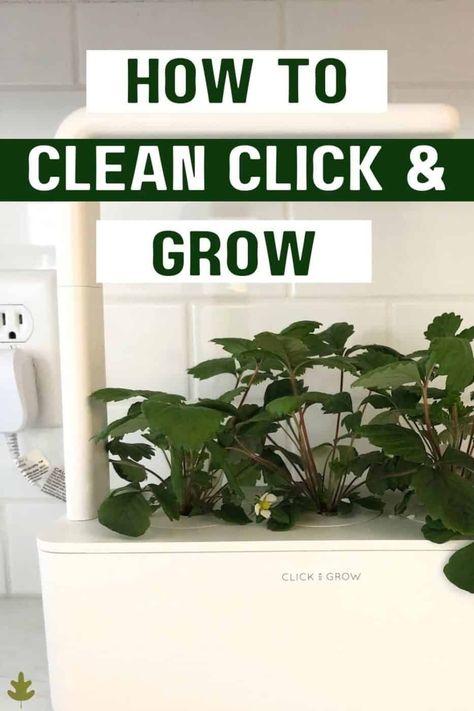 Click And Grow Smart Garden, Click And Grow, Indoor Hydroponic Gardening, Gardening Gadgets, Growing Food Indoors, Indoor Gardening Ideas, Plants At Home, Homesteading Ideas, Salad Greens