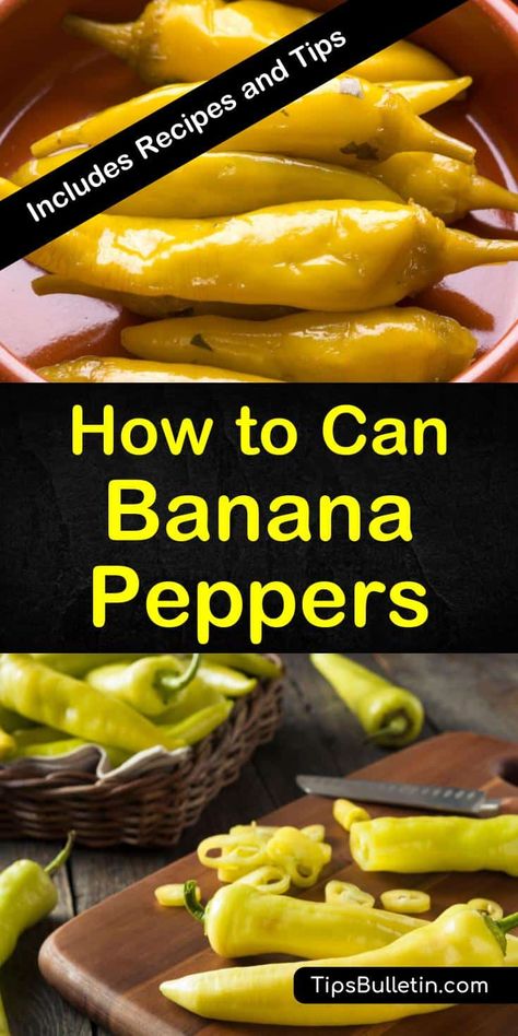 Pickled Pepper Recipe, Canning Banana Peppers, Recipes With Banana Peppers, Sweet Banana Peppers, Canning Peppers, Pickled Banana Peppers, Jalapeno Popper Dip, Canning Fruit, Canning Pickles