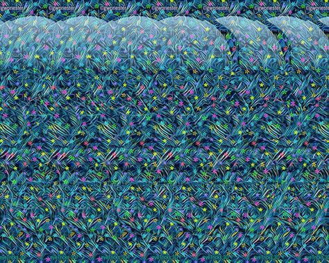 3d Stereograms, Magic Eye Pictures, Eye Illusions, Mirror Hack, Illusion Pictures, Eye Pictures, 3d Pictures, Optical Illusions Art, Crazy Eyes