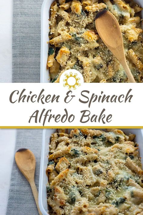 Combine a bunch of basic ingredients to make chicken and spinach alfredo bake with ingredients that are often found in the kitchen. #chicken #spinach #alfredo #casserole Chicken Spinach Casserole, Chicken And Spinach Alfredo, Chicken Spinach Recipes, Spinach Recipes Healthy, Alfredo Casserole, Chicken Casserole Dinners, Chicken Alfredo Casserole, Alfredo Bake, Spinach Alfredo