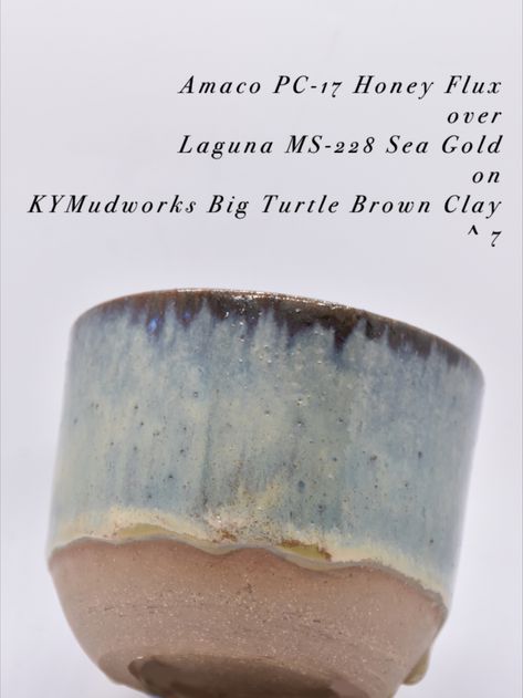 Glaze Combination with Amaco PC 17 Honey x Laguna MS-228 Sea Gold on KYMudworks Big Turtle Brown Clay Fire up to ^7 Glaze On Brown Clay, Laguna Glaze, Big Turtle, Pottery Inspo, Brown Clay, Schmuck Diy, Glazes For Pottery, Pottery Studio, Clay Creations