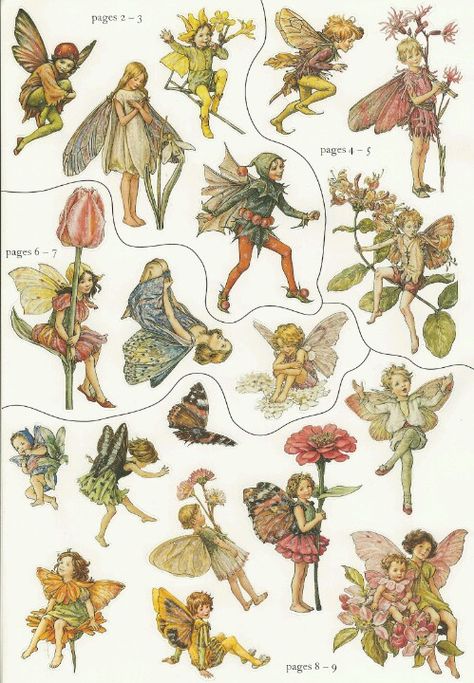 Desain Buklet, Vintage Fairies, Flower Fairies, Arte Sketchbook, Fairytale Art, Vintage Poster Art, Art Collage Wall, Fairy Art, Sticker Sheet