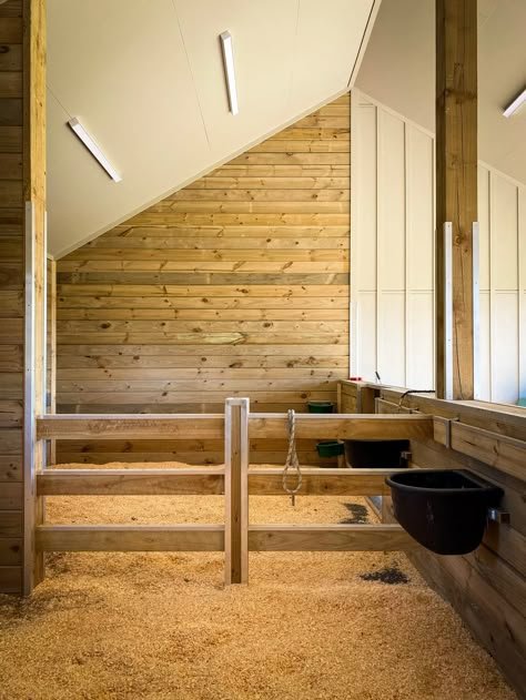 A barn built for more than one kind of horse power | Harrison Lane Horse Enclosures, Barn Ideas For Horses, Horse Barn Interior, Mini Horse Barn, Horse Barn Ideas, Simple Horse Barns, Small Stable, Dream Barn Stables, Small Horse Barn