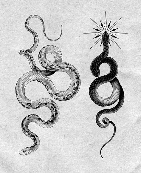 Serpent Tattoo, Snake Drawing, Snake Tattoo Design, Snake Art, Tattoo Flash Art, Black Ink Tattoos, Snake Tattoo, Simplistic Tattoos, Tattoo Design Drawings