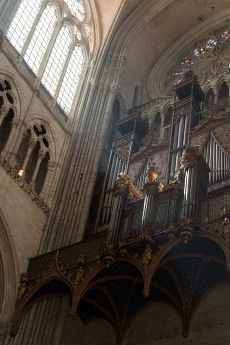 Goth Architecture, Reims Cathedral, Cathedral Basilica, Gothic Cathedrals, Ancient Greek Architecture, Cathedral Architecture, Gothic Cathedral, Gothic Aesthetic, Gothic Architecture