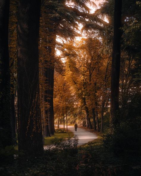 🧶 Autumn in Madrid this year is simply breathtaking. As the sun sets on these sunny days, I can’t help but wish I could freeze time and just admire the beauty that’s illuminated by the light once it hits everything. I’m so glad we still have a little more of this magical season to enjoy. 🍂 . . . . #autumn #outono #otoño #cozyvibes #cozyseason #sweaterweather #fallcolors #autumncolors #aesthetic # Sunny Autumn, Sun Sets, Four Season, Seasons Of The Year, Sunny Day, Sweater Weather, Sunny Days, Fall Colors, Sunnies