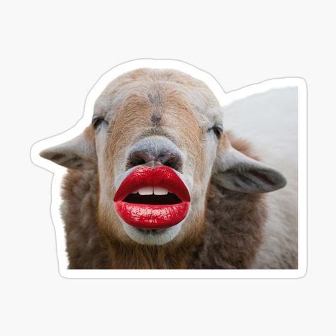 Get my art printed on awesome products. Support me at Redbubble #RBandME: https://www.redbubble.com/i/sticker/Cute-Funny-Sheep-Gifts-For-Animal-Lovers-by-Cuteanimalgifts/157603425.EJUG5?asc=u Sheep Gifts, Sheep Sticker, Farm Stickers, Funny Sheep, Gifts For Animal Lovers, Cute Sheep, Animal Lovers, Funny Stickers, Science Poster