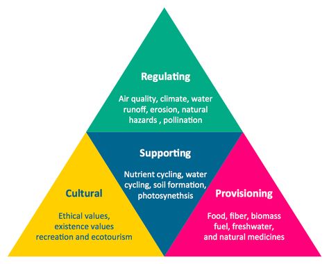 PYRAMID - cosystem goods and services Hydrological Cycle, Ecosystem Services, Laws Of Nature, Carbon Sequestration, Forest Ecosystem, Cash Crop, Food Web, Global Recipes, Traditional Medicine