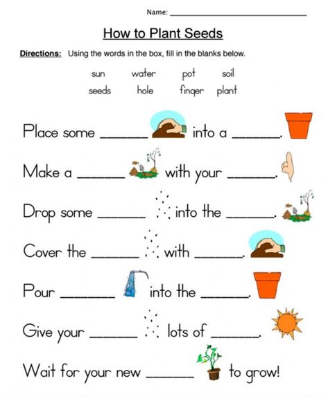 How to Plant Seeds - Interactive worksheet Plants And Seeds Grade 1, Science Worksheets For Grade 4, Science For Class 1, Types Of Plants Worksheets For Grade 1, How To Plant Seeds, Plants Grade 1, Plants Worksheets For Kindergarten, Plants Worksheets For Grade 1, Plants Worksheets For Kids