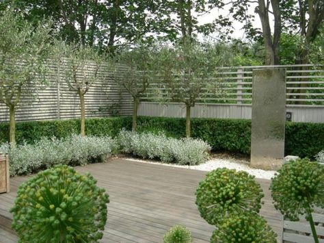 Via Pinterest.  Original source unknown. Olive Trees Garden, Garden Area, Side Garden, Garden Architecture, Contemporary Garden, Mediterranean Garden, Olive Trees, Garden Fencing, Courtyard Garden