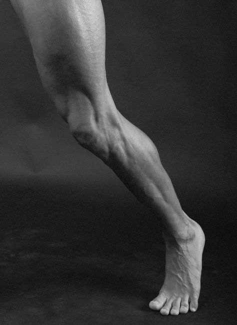 Lower Leg Lower Leg Reference, Leg Reference Male, Bent Leg Reference, Leg Reference Photography, Legs Reference Photography, Knee Photography, Legs Anatomy, Knee Anatomy, Human Knee