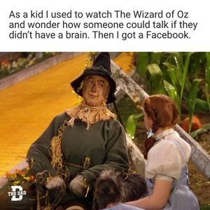 @TheMinimalist Wizard Of Oz Memes, Scarecrow Wizard Of Oz, Laughter The Best Medicine, Clean Jokes, Were All Mad Here, Memes Hilarious, The Wizard Of Oz, Stuff And Thangs, The Wizard