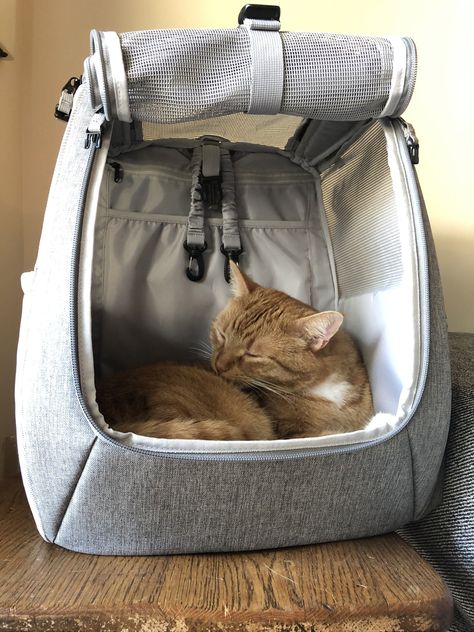 [SponsoredPost] 'Currently Back-Ordered. Estimated Ship Date June 17Th --- 'The Navigator' Convertible Cat Backpack Is The Perfect Backpack For Hikers, Outdoor Lovers, And Adventurers. It's Also Great For Basic Travel Needs Like Trips To The Vet And Car Rides And Gives Your Cat Plenty Of Visibility To Watch The World Go By. Features Include: Holds Up To 74 Lbs Of Cat Water Reservoir Pocket (Does Not Come With Water Bladder) Zippered Pocket With 9 Inside Pockets #petcarrierbag Cat Travel Bag, Cat Backpack Aesthetic, Cat Bag Carrier, Travel Cat, Cat Backpack Carrier, Cat Carrier Bag, Pet Carrier Bag, Adventure Cat, Water Bladder