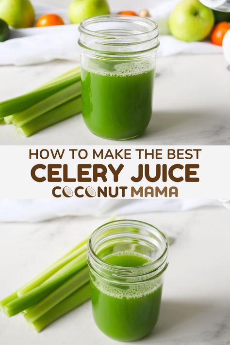 If you're looking for an easy celery juice recipe then you've come to the right place. In this article I share my favorite ways to enjoy celery juice and the best juicer for making celery juice. Juicing Celery Recipes, How To Make Celery Juice, Medical Medium Celery Juice, Celery Juice Recipe, Healthy Green Juice, Celery Smoothie, Celery Juice Benefits, Juice Blender, Green Juice Recipe