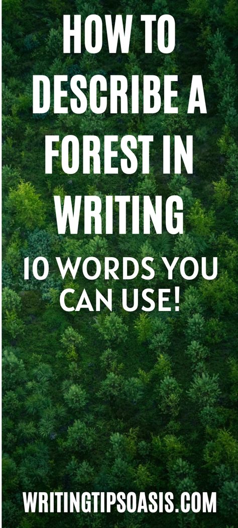 how to describe a forest in writing Describing Forest Writing, Words To Describe A Forest, How To Describe A Forest, How To Describe A Forest In Writing, How To Describe A Setting, Forest Words, Forest Description, Quotes Learning, Learning Writing