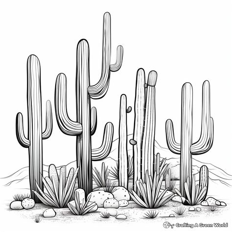 Barrel Cactus Drawing, Cactus Line Drawing, Cactus Sketch, Adventure Drawing, Cactus Cartoon, Plant Drawings, Hat Burning, Cactus Drawing, Kindergarten Coloring Pages