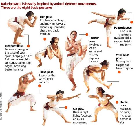 Kalari: the Mother of all Martial Arts - Kalpavriksha - Medium Martial Art Techniques, Kalaripayattu Training, Kalaripayattu Poses, Indian Martial Arts, Types Of Martial Arts, Martial Arts Forms, Martial Arts Sparring, Kung Fu Martial Arts, Self Defense Martial Arts