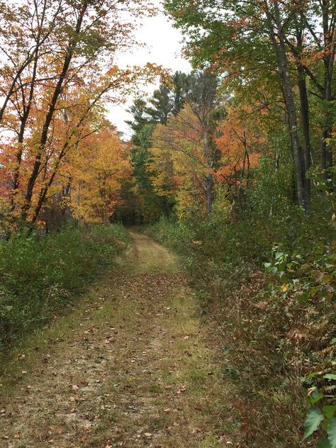 Late Summer Early Fall Aesthetic, Early Fall Aesthetic, Late Summer Aesthetic, Hazel Aesthetic, Maria Core, Autumn Ambience, Late Summer Early Fall, Beginning Of Fall, Green Landscapes