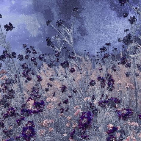 Violet Aesthetic, Scrapbook Background, Gray Aesthetic, Aesthetic Background, Purple Orchids, Purple Art, Pretty Designs, Purple Aesthetic, Aesthetic Backgrounds