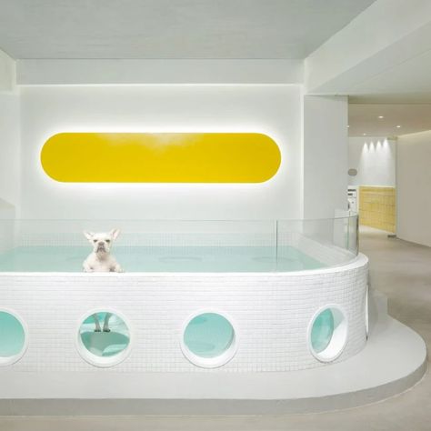 Dog Spa Design, Pet Grooming Salon Ideas Design, Pets Hotel, Pet Cafe, Vet Hospital, Pet Grooming Salon, Dog Shelter, Animal Clinic, Dog Spa