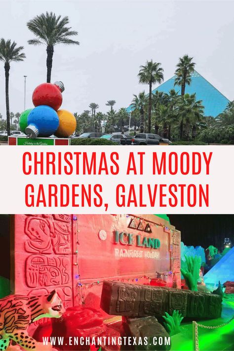 Moody Gardens Christmas in Moody Gardens Galveston | Christmas in Galveston TX | Christmas events near Houston | Christmas in Texas destinations | Texas Christmas Towns | Texas Christmas Vacations | Best Places to Spend Christmas in Texas | Best Things to do in Texas for Christmas | Christmas Things to do in Texas | Texas Christmas Getaways | Best Christmas Lights in Texas | Christmas Destinations in Texas | Where to Go for Christmas in Texas | Texas Christmas Travel | Texas Xmas Destinations Houston Christmas, Christmas In Texas, Things To Do For Christmas, Things To Do In Texas, Christmas Towns, Moody Gardens, Christmas Things To Do, Travel Texas, Texas Destinations