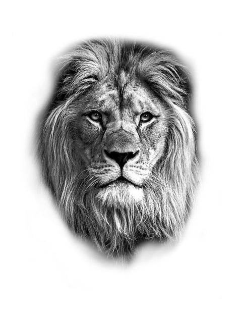 Lions Head Tattoo Men, Lion Tattoo Men Back, Lion Tattoo Man, Best Lion Tattoos Men, Lion Head Sketch, Lion Tattoo Sketch, Kurt Tattoo, Tato Naruto, Lion Hand Tattoo