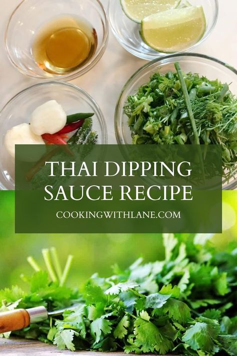 Discover the bold and irresistible flavors of Thailand with our authentic Nam Jim Jaew dipping sauce recipe Simple to make and ohsodelicious this Thai favorite is sure to become a staple in your kitchen Thai Dipping Sauce, Dipping Sauces Recipes, Dip Sauce, Asian Sauce, Thai Cooking, Taco Dip, Sauces And Dips, Sauces And Dressings, Dipping Sauces