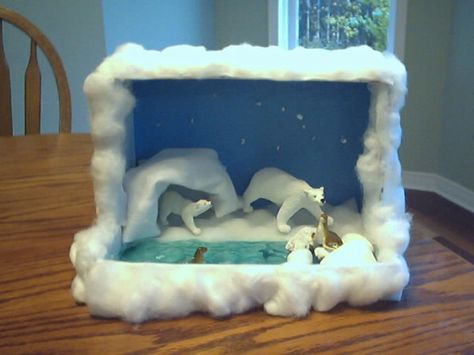 Arctic Diorama School Diorama, Habitat Project, Arctic Habitat, Biomes Project, Diorama Kids, Bear Habitat, Habitats Projects, Polar Bear Craft, Theme Preschool