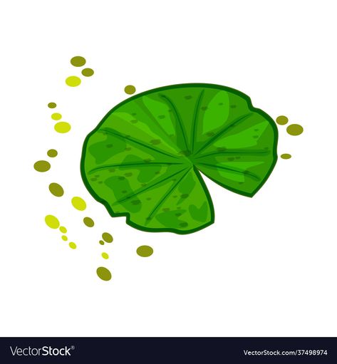 Lilypad Drawing, Logo Design Cartoon, Pond Drawing, Leaf Logo Design, Cartoon Water, Plant Icon, Lily Plants, Leaf Logo, Nature Forest