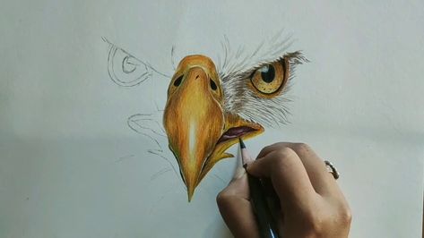 Hello Everybody! Welcome back to Art Diarium❤ Today I am going to show you how to draw an Eagle (Sketching + coloring) with colored pencils. ♦Materials used – Brustro Sketch Paper white / Measurement scale / 2B pencil & eraser / Faber castell colored pencil / Fixative Spray / Took time – 4h 10m ♦SNS […] The post Easy! How to Draw a Bald Eagle Face appeared first on PaintingTube. Eagle Drawing Easy, Coloring With Colored Pencils, Eagle Sketch, Bald Eagle Art, Eagle Artwork, Colored Pencil Art Projects, Eagle Face, Eagle Drawing, Watercolor Paintings Of Animals