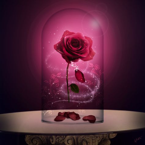 Enchanted Rose, composited in Photoshop by  layout artist Aled Matthews (MAY 2017) Fairy Tales Art from Cloth Cat Animation: Beauty and the Beast, tale as old as time, magic, story, curse, pink, romance Belles Rose Disney, Enchanted Rose Beauty And The Beast, Beauty And The Beast Rose Aesthetic, Fairy Tales Art, Beauty And The Beast Flower, Bueaty And The Beast, Beauty And Beast Rose, Layout Artist, Bella Disney