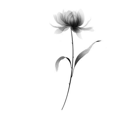 Adoption Tattoo, Xray Flower, Flor Tattoo, Carnation Tattoo, Pencil Drawings Of Flowers, Flower Tattoo Back, Mommy Tattoos, Poppies Tattoo, Handpoke Tattoo