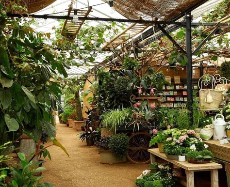 Petersham Nurseries: Richmond's Gorgeous Garden Centre Is Heaven Greenhouse Cafe, Garden Center Displays, Forest Cafe, Petersham Nurseries, Home Art Studio, Nursery Garden, Plant House, Greenhouse Ideas, Greenhouse Plans