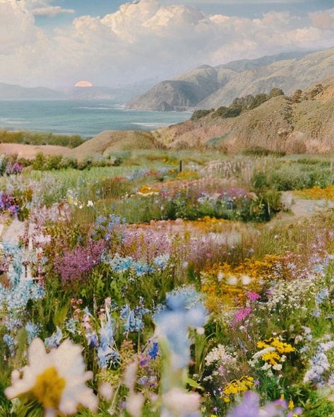 Beauty Of The World, Abc Carpet, Pretty Landscapes, Carpet Home, Arte Inspo, Summer Solstice, Instagram Summer, Nature Aesthetic, Big Sur